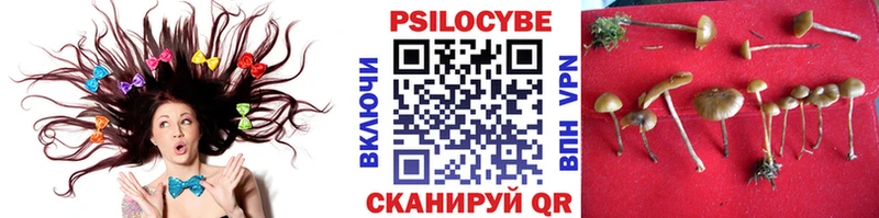 Псилоцибиновые грибы прущие грибы Купить где Бутурлиновка