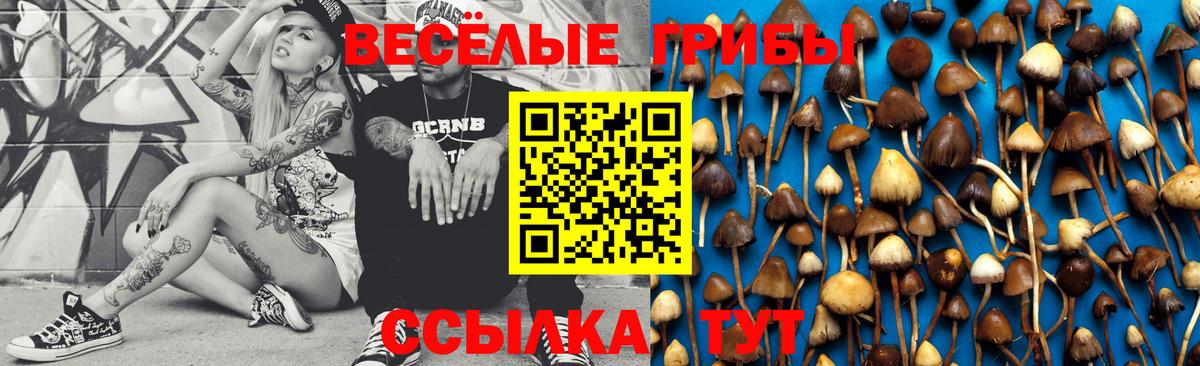 Галлюциногенные грибы мухоморы Бутурлиновка